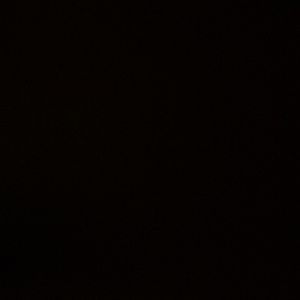 Meet your Posher, Larry